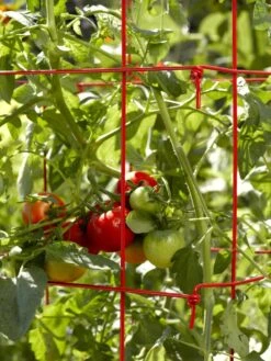 Tomato Cages, Set Of 4 -Soil N Tool Sales 34182 592