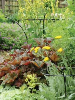 Essex Plant Supports -Soil N Tool Sales 37423 280 tif