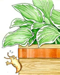 Copper Slug Tape -Soil N Tool Sales 38 994 b