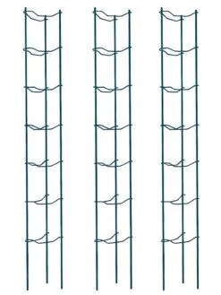 Tomato Ladders, Set Of 3 -Soil N Tool Sales 38184 002E psd