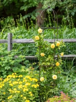 Jardin Round Obelisk, 7' 7 Jardin Round Obelisk, 7' -Soil N Tool Sales 39 530 1668 tif