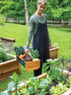 Garden Hods -Soil N Tool Sales 39 761 0146 tif