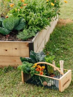 Garden Hods -Soil N Tool Sales 39 761 572 tif