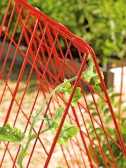 Deluxe Cucumber Trellis 10 Deluxe Cucumber Trellis -Soil N Tool Sales 39806 542 tif