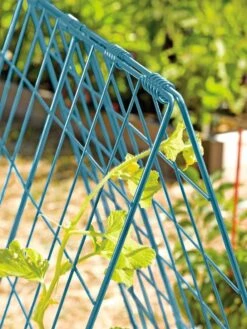Deluxe Cucumber Trellis 12 Deluxe Cucumber Trellis -Soil N Tool Sales 39806 BLUE 100 tif