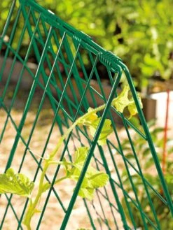 Deluxe Cucumber Trellis 11 Deluxe Cucumber Trellis -Soil N Tool Sales 39806 GR edit tif