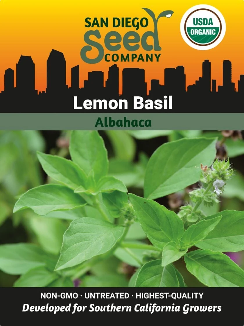 Basil, Lemon Organic Seeds 1 Basil, Lemon Organic Seeds