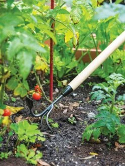 Gardener's Lifetime Long-Handled Double Tool 7 Gardener's Lifetime Long-Handled Double Tool -Soil N Tool Sales 3 4 crop 8592107 2460 tif