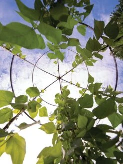 Jardin Tower -Soil N Tool Sales 3 4 crop 8612997 0033