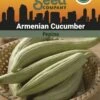 Armenian Cucumber Organic Seeds