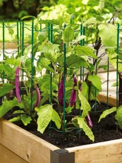 Pepper And Eggplant Stakes, Set Of 3 -Soil N Tool Sales 40308 2116 tif