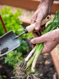 Gardener's Lifetime Trowel -Soil N Tool Sales 8586972 3286 tif
