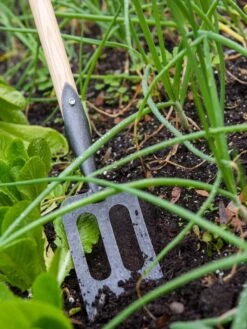 Gardener's Lifetime Spork -Soil N Tool Sales 8586973 2383 tif