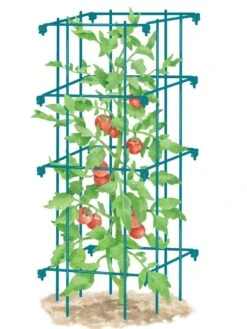 Tomato Cage, Single 6 Tomato Cage, Single -Soil N Tool Sales 8587039 TomatoCage BLUE tif