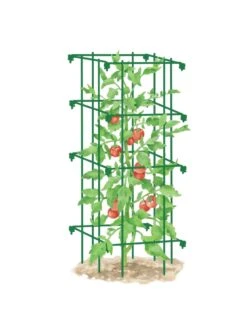Tomato Cage, Single 7 Tomato Cage, Single -Soil N Tool Sales 8587039 TomatoCage GRN tif