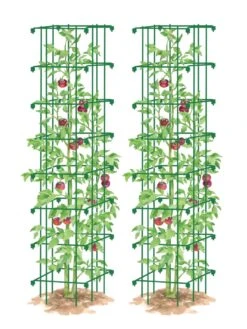 Tomato Towers, Set Of 2 -Soil N Tool Sales 8587041 0006 GRN tif