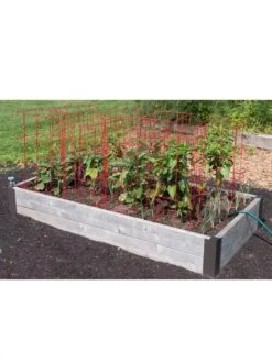 Pepper And Eggplant Cages, Set Of 3 -Soil N Tool Sales 8587048 6008 3 4