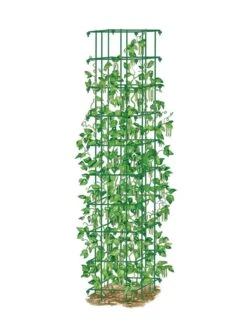 Bean Tower 11 Bean Tower -Soil N Tool Sales 8587060 0008 GRN tif