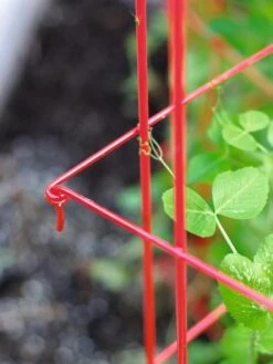 Tall Expandable Pea Trellis -Soil N Tool Sales 8587061 010 tif