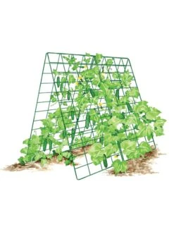 Deluxe Cucumber Trellis 14 Deluxe Cucumber Trellis -Soil N Tool Sales 8587083 001 GRN tif