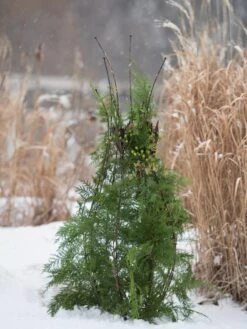 Jardin Pot Trellis -Soil N Tool Sales 8587120 009 tif