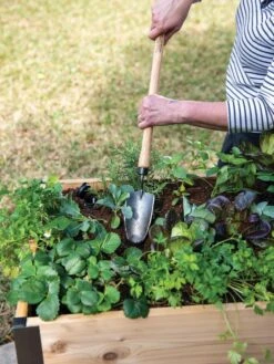 Gardener's Lifetime Raised Bed Trowel -Soil N Tool Sales 8588014 4084 tif