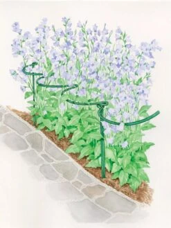 Tidy Path Supports -Soil N Tool Sales 8588403 003 1