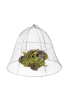 Chicken Wire Cloche -Soil N Tool Sales 8590210 675 tif