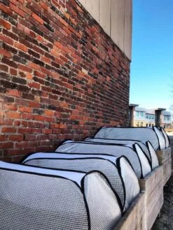 Row Shelter Accelerator 9 Row Shelter Accelerator -Soil N Tool Sales 8591990 01IN tif