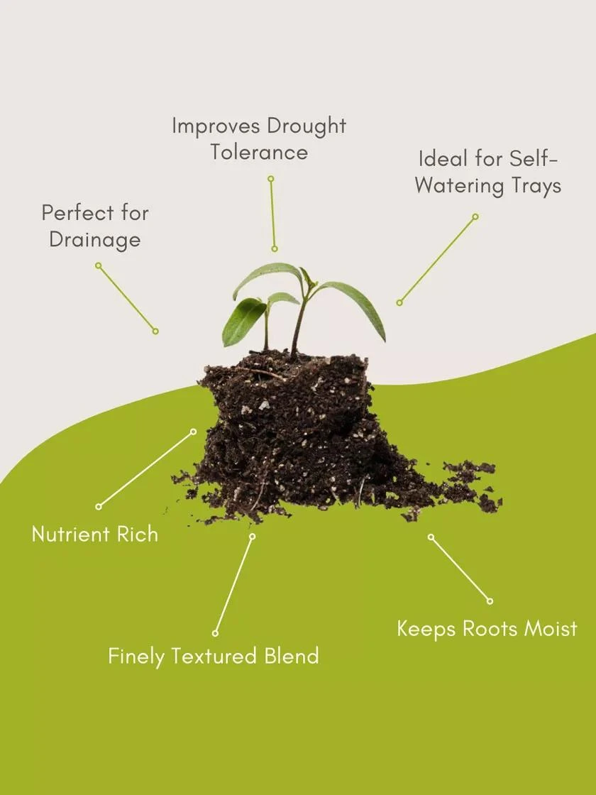Seed Starting Mix, 9 Qts. 6 Seed Starting Mix, 9 Qts. - Image 6
