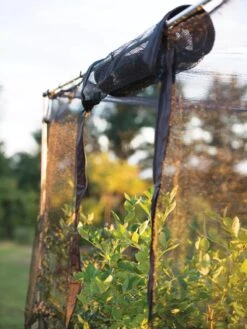 Storm Proof Crop Cage, Large -Soil N Tool Sales 8592463 115 tif