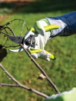 Gardener's Pro Pruner #2 -Soil N Tool Sales 8596605 032 tif