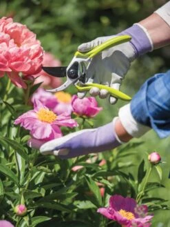 Gardener's Pro Pruner #2 -Soil N Tool Sales 8596605 1261 tif