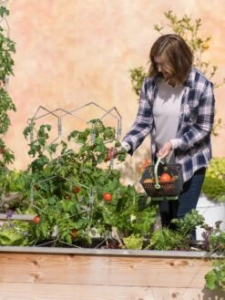 Gardener's Vertex Lifetime Tomato Cage -Soil N Tool Sales 8598426 0026 tif