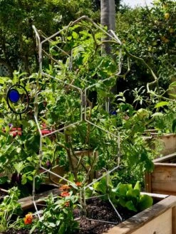 Gardener's Vertex Lifetime Pepper And Eggplant Cage -Soil N Tool Sales 8599554 01CUST tif