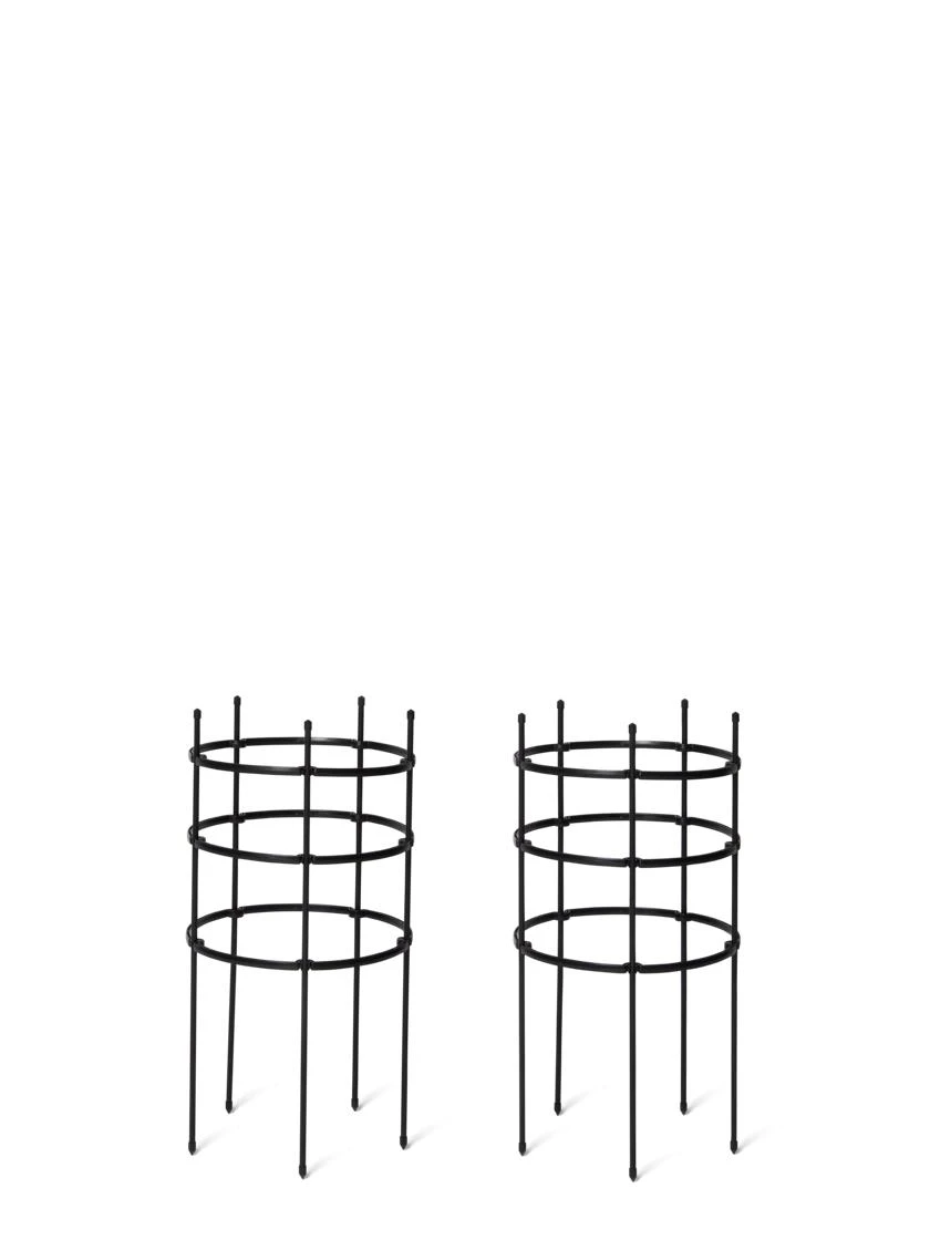 Titan Peony Supports, Large, Set Of 2 2 Titan Peony Supports, Large, Set Of 2 - Image 2