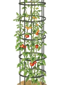 Titan Tall Tomato Cages, Set Of 3 -Soil N Tool Sales 8599860 0002 art tif