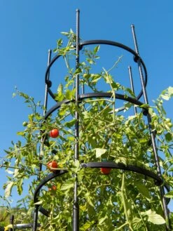 Titan Tall Tomato Cages, Set Of 3 -Soil N Tool Sales 8599860 0066 tif