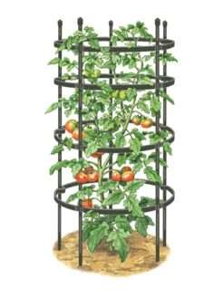 Titan Tomato Cages, Set Of 3 -Soil N Tool Sales 8599861 0001 art tif