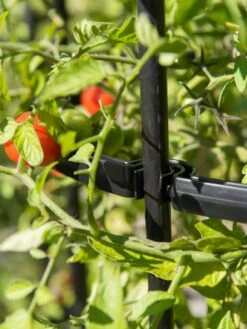 Titan Tomato Cages, Set Of 3 -Soil N Tool Sales 8599861 0079 tif