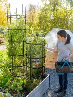 Titan Tomato Cages, Set Of 3 -Soil N Tool Sales 8599861 0114 tif