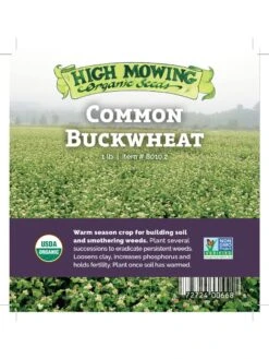 Common Buckwheat Organic Seeds -Soil N Tool Sales 8599871 04v