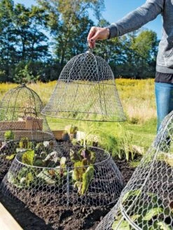 Chicken Wire Cloche With Extension 17 Chicken Wire Cloche With Extension -Soil N Tool Sales 8600116 0604 3 4