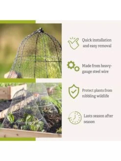 Chicken Wire Cloche With Extension 15 Chicken Wire Cloche With Extension -Soil N Tool Sales 8600116 3