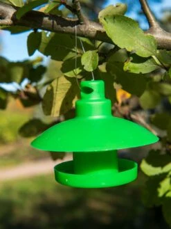 Slug And Snail Traps, Set Of 3 15 Slug And Snail Traps, Set Of 3 -Soil N Tool Sales 8600120 1792