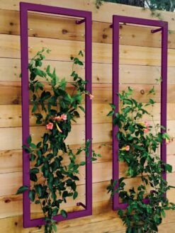 Ina Modern Wall Trellis Sr. 15 Ina Modern Wall Trellis Sr. -Soil N Tool Sales 8600510 02V tif