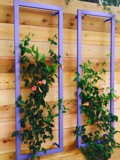 Ina Modern Wall Trellis Sr. 12 Ina Modern Wall Trellis Sr. -Soil N Tool Sales 8600510 07V tif