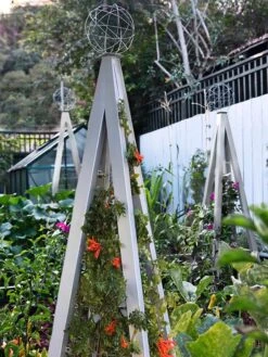 Akoris Garden Tuteur Jr. 12 Akoris Garden Tuteur Jr. -Soil N Tool Sales 8600517 07V tif