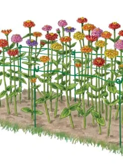 Cut Flower Grid Support, Set Of 2 -Soil N Tool Sales 8600620 0002 art tif
