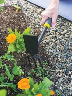 Gardener's 2-in-1 Short Handle Hoe And Cultivator 7 Gardener's 2-in-1 Short Handle Hoe And Cultivator -Soil N Tool Sales 8608657 19474 tif